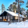 5d1dc916ed8f7geilolia forest cabins exterior painted cabin