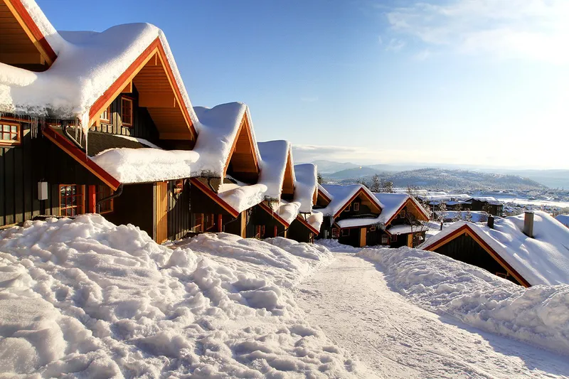 5d1dc9bd58997bergo cabins exterior