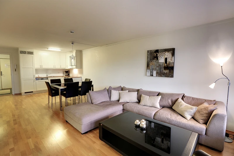 5d1dcaf664e91stolstunet apartments 3 bedroom apartment