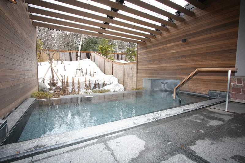 Tokyu Hotel - Hot Spring with Snow
