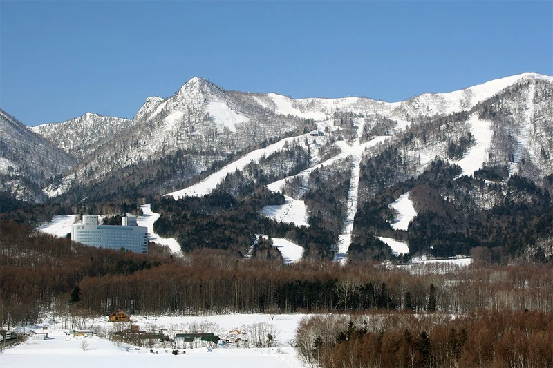 Shin Furano Prince Hotel - Slopes View