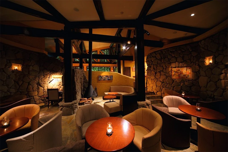 Shin Furano Prince Hotel - Bar