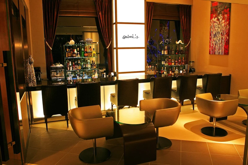 Phoenix Hotel - Bar