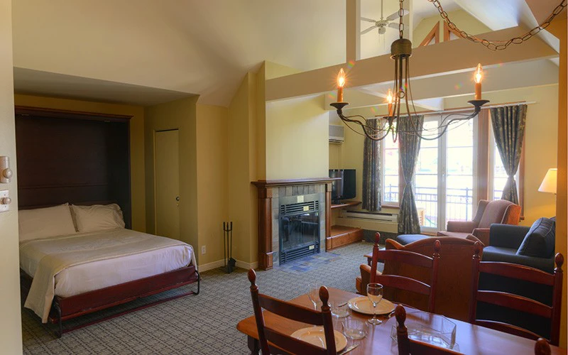 5d1dd035a93a1la place st bernard studio