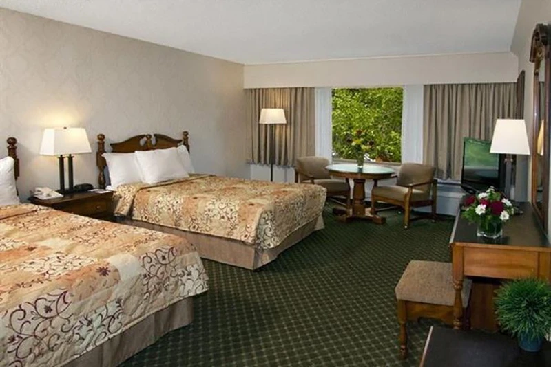 5d1dd0545dd5fchateau jasper standard new 0