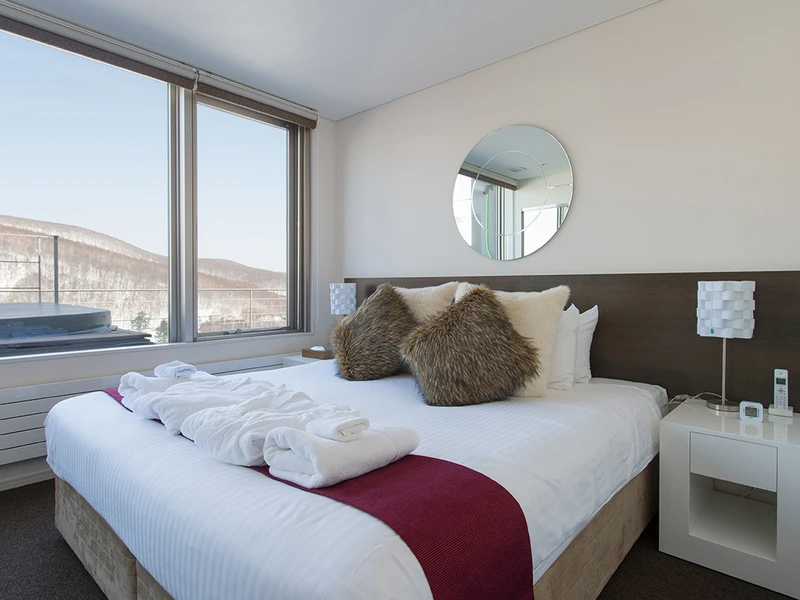 5d1dd1ab6da22yama shizen one bedroom