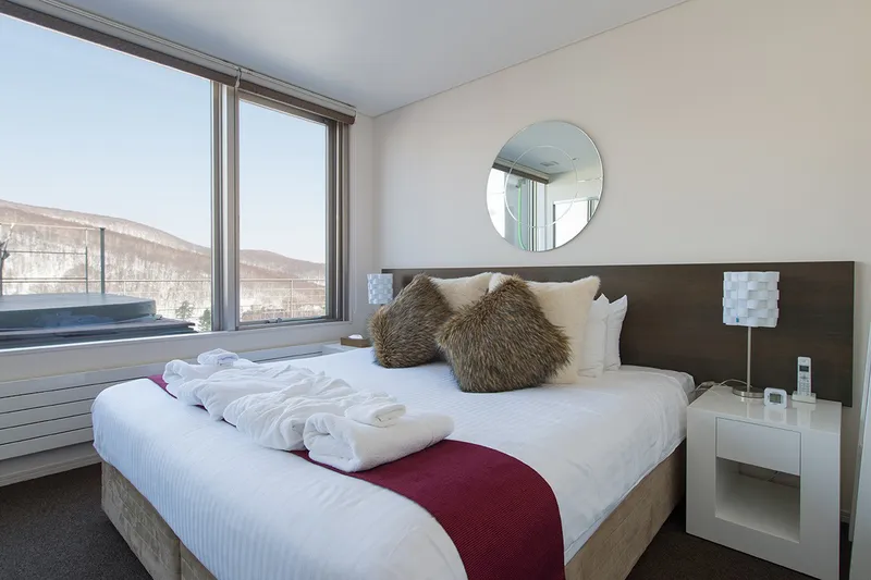 5d1dd1ab6da22yama shizen one bedroom