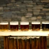 Aegir Brewery Beer Tasting © Thor Brodreskift