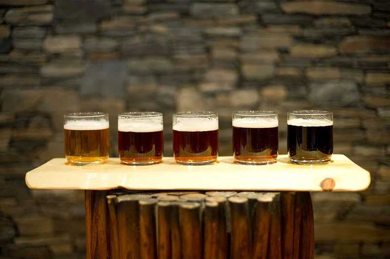 Aegir Brewery Beer Tasting © Thor Brodreskift