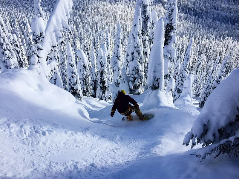 5d1de5d51b7beluke tree skiing big white