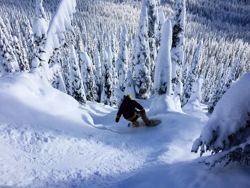 5d1de5d51b7beluke tree skiing big white
