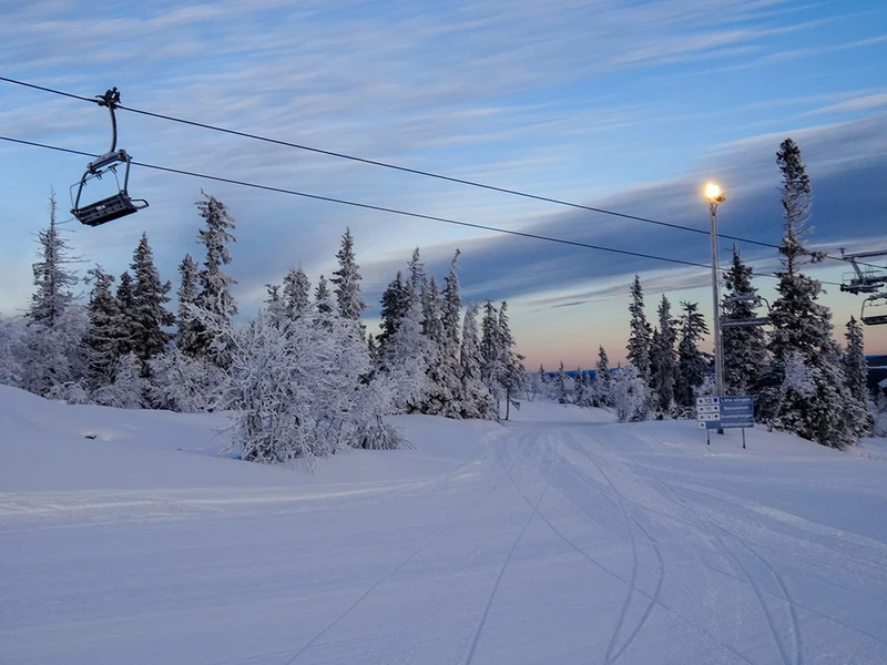 5d1de6853336cvemdalen scenic groomer dec 16