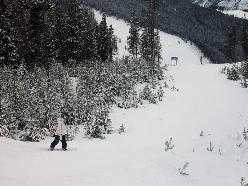 5d1de68c417fbvicky lake louise boarding