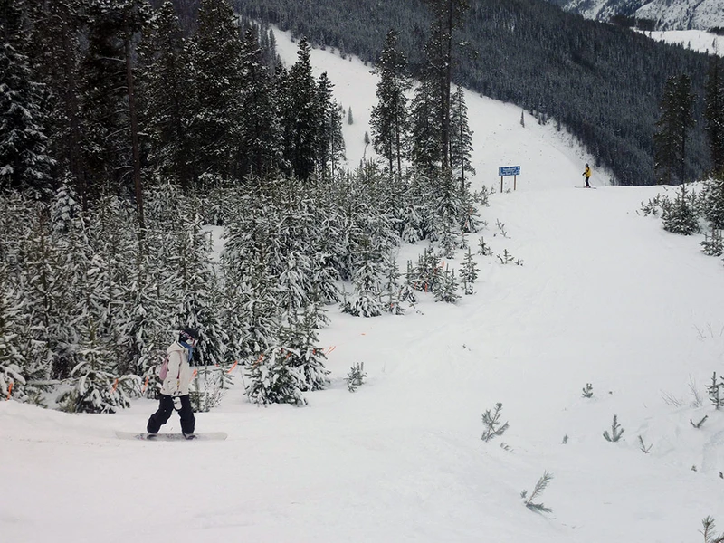 5d1de68c417fbvicky lake louise boarding