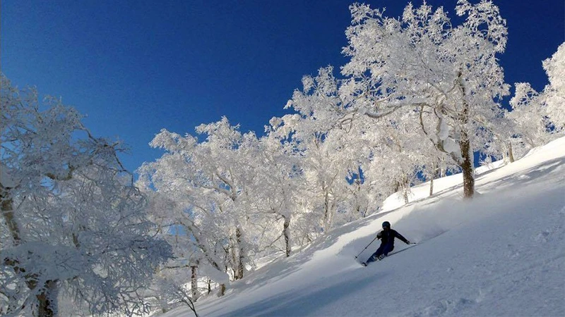 Kenji in Asahidake January 2017