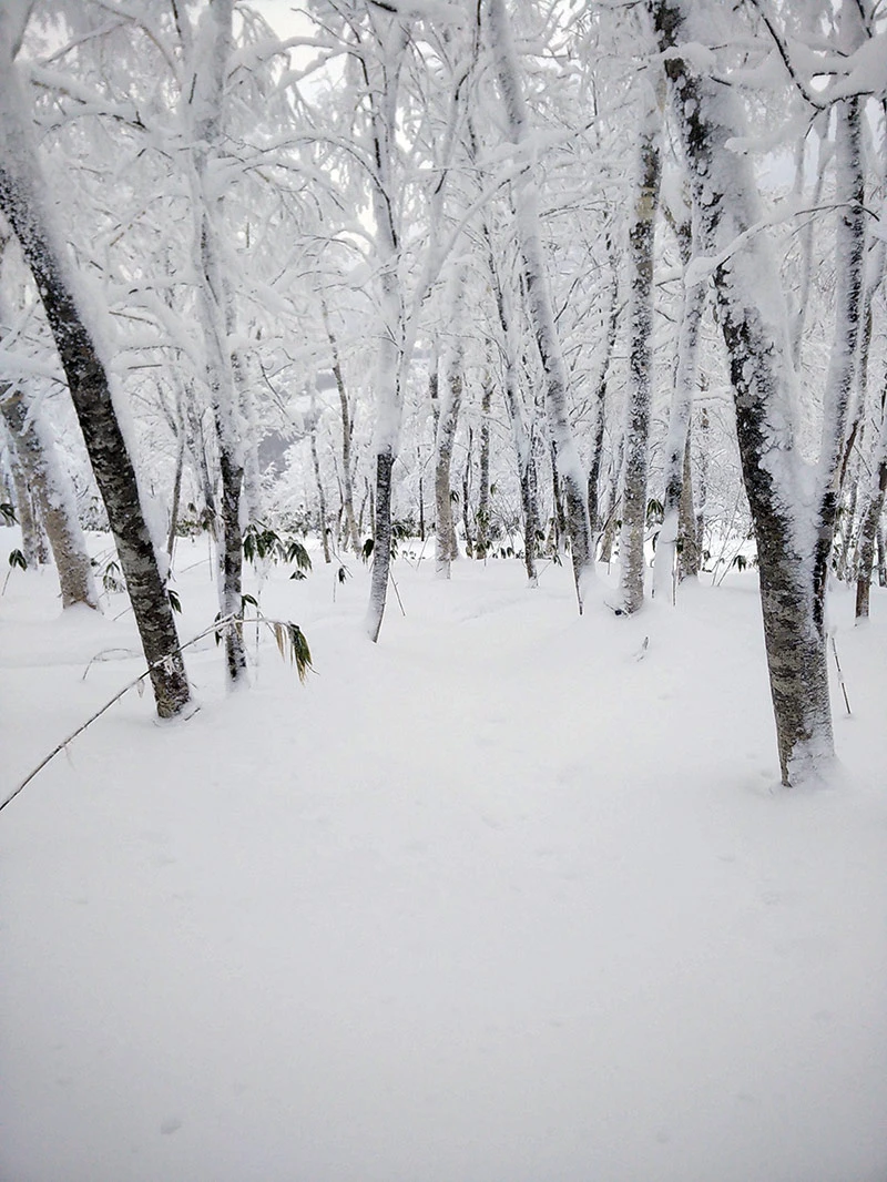5d1de694f0271rusutsu glades dec 16
