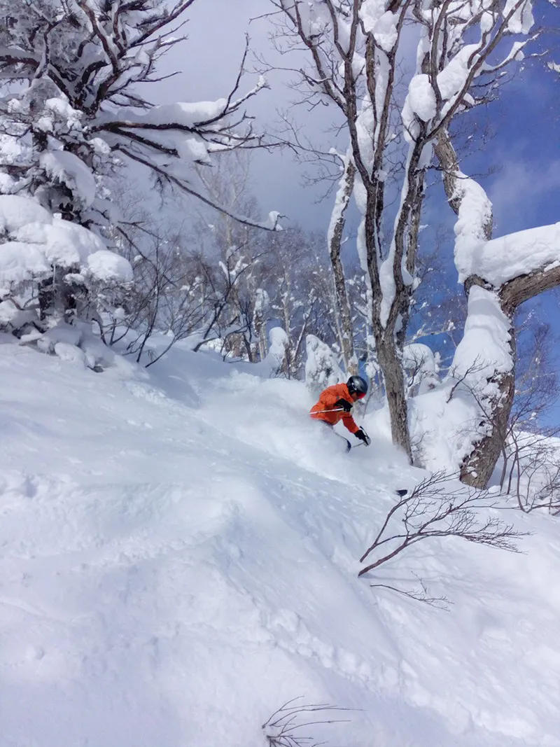 5d1de6996f061furano richard jan2017