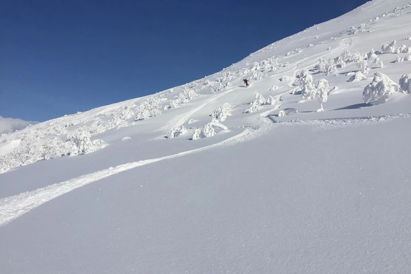 5d1de69b39d7fiain and peter niseko