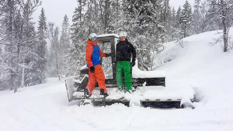 5d1de6be56f79duved animal trail cat 0