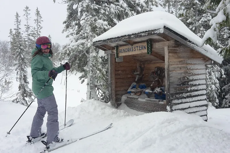 5d1de6bfbeb46duved animal trail band