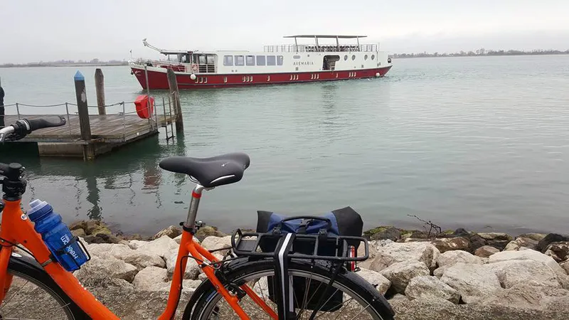 5d1de6d1f15e1ave maria bike