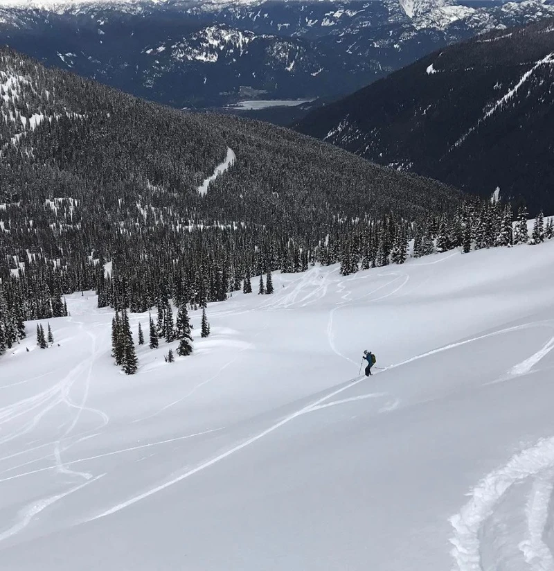 5d1de6e1c00a0julie draper whistler