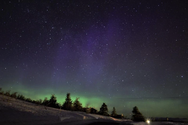 5d1de6e257097juliet cherry trysil