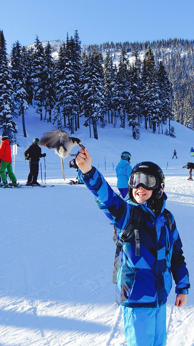 5d1de6e9d7182amanda knee whistler