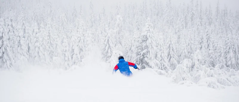 5d1de6feea071trysil pudder skiing credit ola matsson skistar 21x9