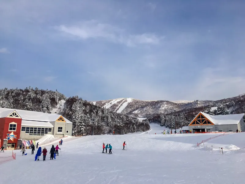 5d1de71790874kiroro base area 07 12 17