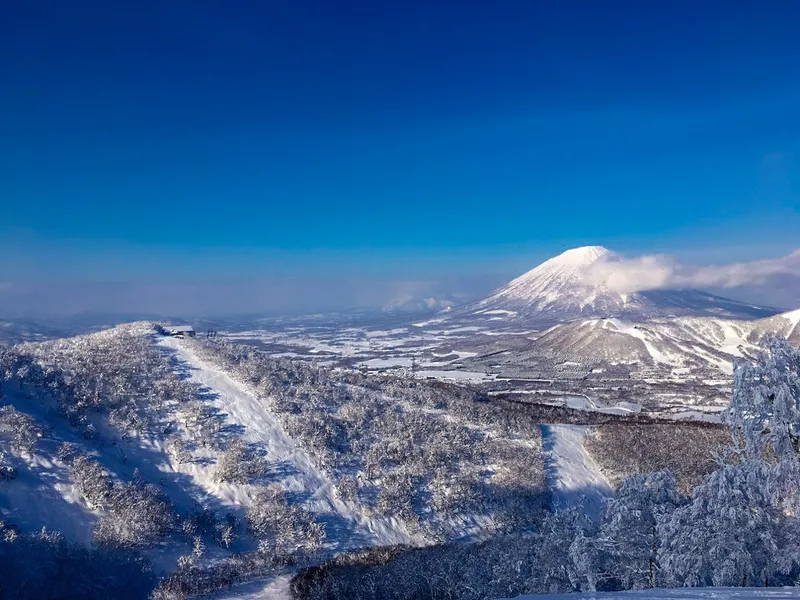 5d1de71d55234rusutsu east mountain tree runs