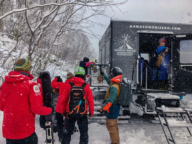 5d1de72fe9df3niseko weiss boarding cat