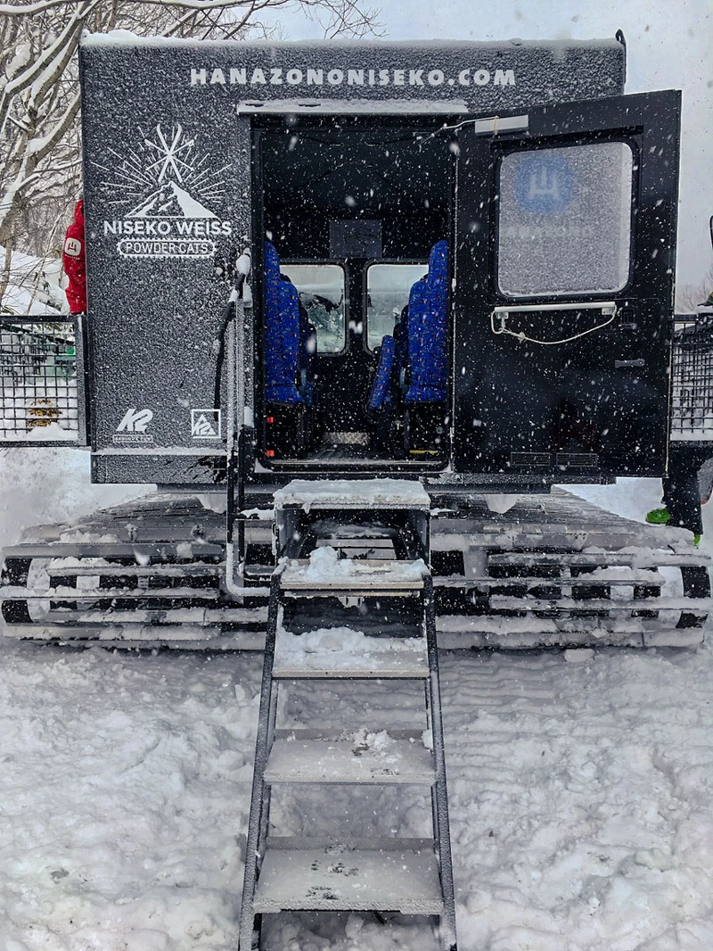 5d1de730c68f4niseko weiss cat