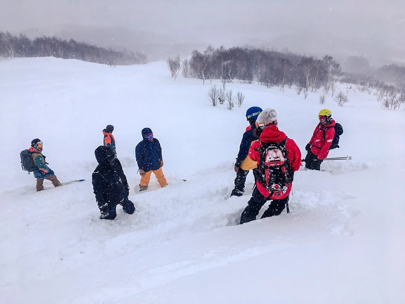 5d1de7338ad19niseko weiss group