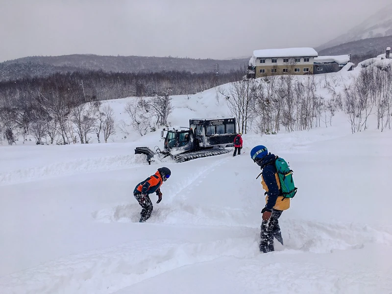 5d1de737461cbniseko weiss cat waiting
