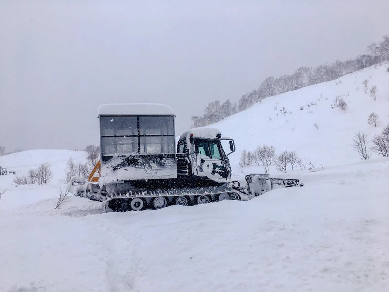 5d1de7401724achisenupuri cat