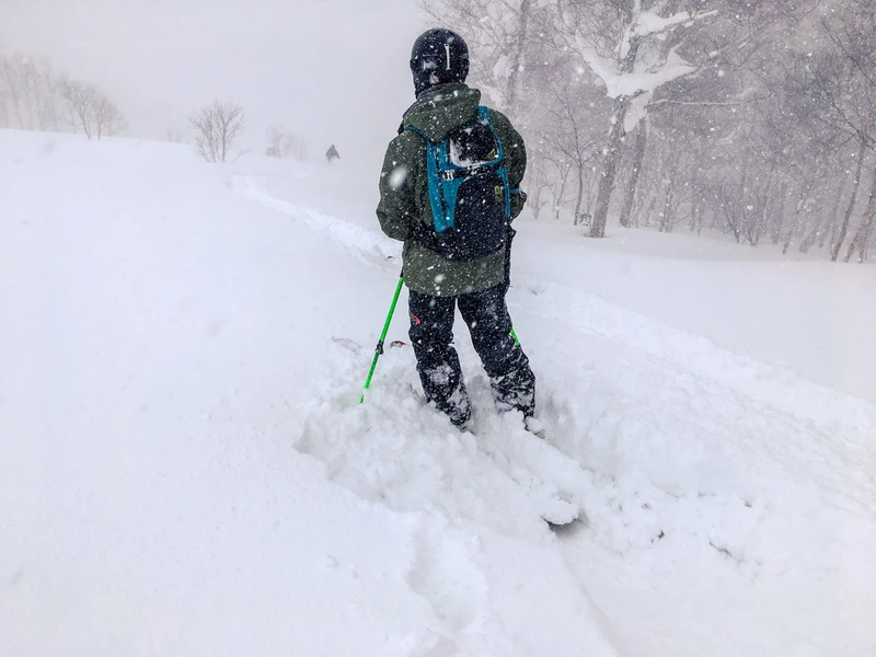 5d1de743b93f4chisenupuri cat skiing wide runs