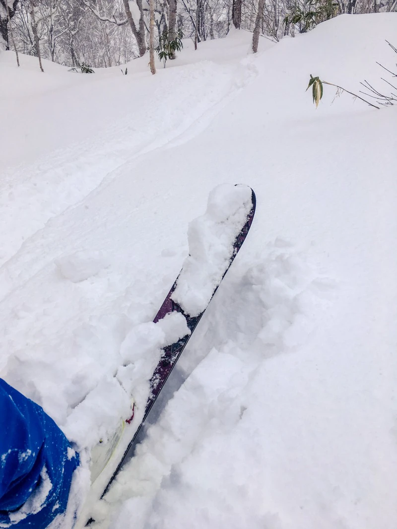 5d1de7449b9d0chisenupuri cat skiing great powder