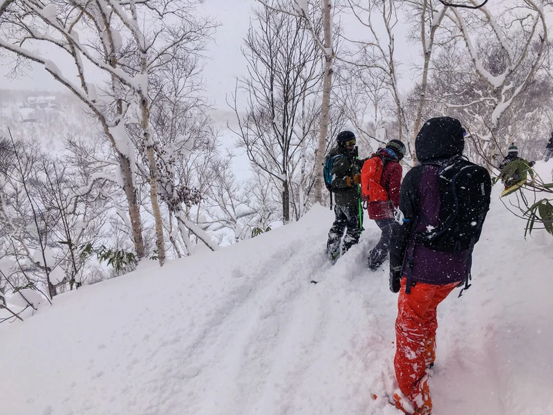 5d1de74579578chisenupuri cat skiing traversing