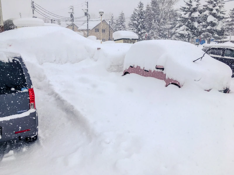 5d1de749e42dbchisenupuri buried car