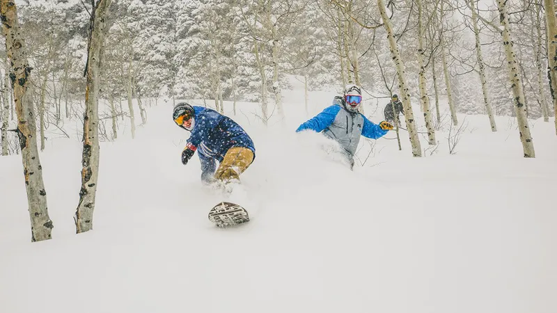 Powder Mountain Snowboarders