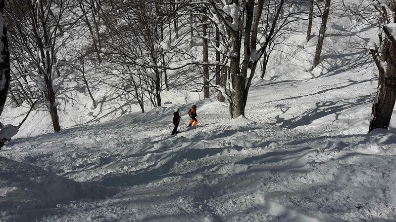 Tree Skiing in Hakuba