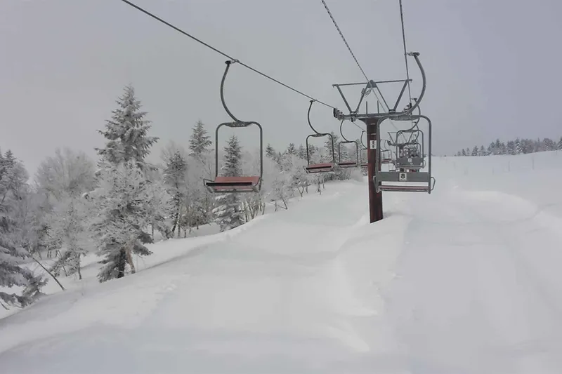 5d1de7662262ashiga kogen baby powder