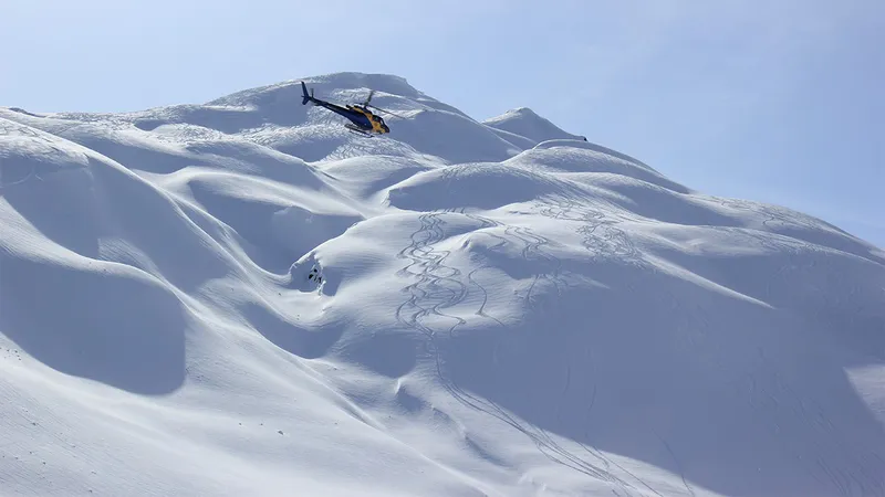 5d1de78df0668c p g alyeska heli