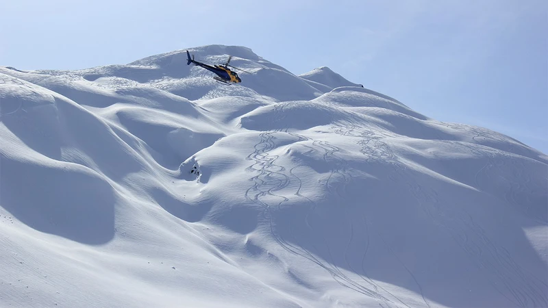 5d1de78df0668c p g alyeska heli