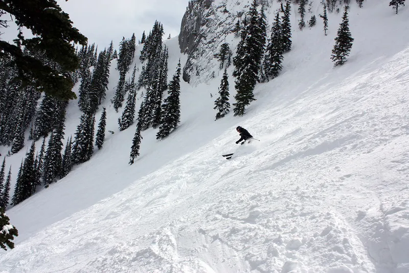 5d1de79336a7erupert in fernie april 2009