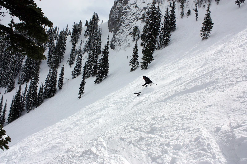 5d1de79336a7erupert in fernie april 2009