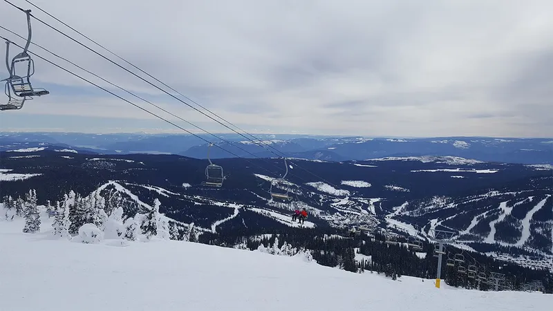 5d1de7977b568claire april morrisey express