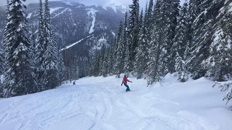 5d1de79c089eevicky ily morrisey