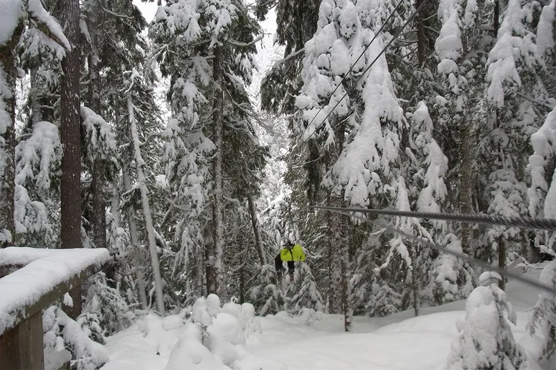 5d1de7a2ceb67andrea whistler ziptrek ecotours